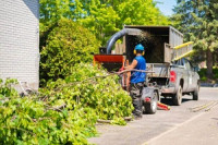 Big D's Des Plaines Tree Service