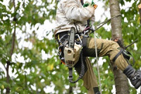 Brookhaven Tree Service Co.