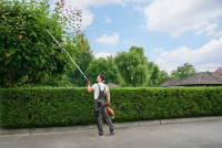 Plainfield Tree Service