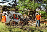 Port Charlotte Tree Service