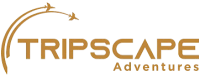 Top Tripscape Tourism Dubai Tours and Travel Services