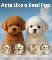 Froplay Dog Toy Explained: What Exactly Is This Viral Robotic Puppy