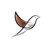 Volga Tigris: Digital Marketing Agency in Dubai