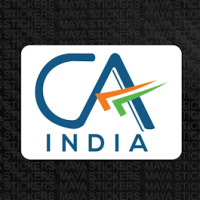 Chartered accountant in Delhi