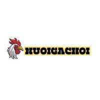 Nuôi Gà Chọi - Nuoigachoi