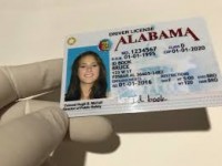 BUY REAL PASSPORTS, DRIVER'S LICENSE AT https://timesaverholdings.com/ ID CARDS (whatsapp: +14086864759) SOCIAL SECURITY NUMBER CARD (SSN card) RESIDENTS PERMIT, VISA, WORK PERMIT, CITIZENSHIP DOCUMENTS, IELTS, GMAT, NEBOSH, TOEFL, NIN, SIN, marriage certificate Buy undetectable counterfeit money online At timesaverholdings documents, we produce original passports, driver's licenses, SSN cards, identity cards, visas, stamps and other documents for the following countries:USA, UK, Australia, Belgium, Brazil, Finland, France, Great Britain, Ireland, Italy, Netherlands, Norway, Austria, Sweden, Switzerland, Spain, Great Britain, USA and some others. We offer you one of the best services in the world. Most customers have experienced our true and outstanding service. CONTACT US Contact emails .........timesaverholdings@gmail.com WHATSAPP ............+14086864759 Our website.......... https://timesaverholdings.com https://timesaverholdings.com https://timesaverholdings.com https://timesaverholdings.com https://timesaverholdings.com https://timesaverholdings.com Buy fake and real documents online Buy Driver's license online Buy fake and real passports online Buy driver's license online Buy new birth certificate purchase documents online Buy certificates online APPLY FOR USA PASSPORT ONLINE BUY USA PASSPORT ONLINE BUY EU PASSPORT ONLINE APPLY FOR EU PASSPORT ONLINE BUY UK PASSPORT ONLINE APPLY FOR UK PASSPORT ONLINE Buy diplomas online Get new id cards online Original ielts certificates online Buy passport online Buy identity card online Buy driving license online Buy the residence permit online Buy/Get Citizenship Online Buy documents online Buy IELTS without exams Buy TOEFL Buy GMAT Our website.......... https://timesaverholdings.com https://timesaverholdings.com https://timesaverholdings.com https://timesaverholdings.com https://timesaverholdings.com https://timesaverholdings.com Contact emails .........timesaverholdings@gmail.com WHATSAPP ............+14086864759 Guaranteed 24 hour passport, citizenship, ID cards, driver's license, diplomas, degrees, certificates service available. Tourist and business visa services available Worldwide nationalities are unique producers of Authentic High Quality Passports, Real Genuine Data Base Registered and Unregistered Passports and other Citizenship documents.We can guarantee you a new Identity starting from birth certificate, ID Card, Drivers License, Passports, Social Security Card with SSN, Credit Cards, and Credit Cards, School Diplomas, School degrees all in a completely new name issued and registered in the government database system. We use high quality equipment and materials to produce authentic and counterfeit documents.All secret features of real passports are carefully duplicated for our registered and unregistered documents.we are unique producers of quality false and real documents.We only offer high quality Registered and unregistered passports, driver's licenses, ID cards, stamps, visa, school diplomas and other products for a number of countrieslike: USA, Australia, Belgium, Brazil, Canada, Italy, Finland, France, Germany, Israel, Mexico, Netherlands, South Africa, Spain, United Kingdom. buy real passport | genuine passport for sale | fake passport for sale online | buy real and fake passport online | buy real genuine fake passport online purchase passport online | buy legal american passport | purchase fake US passport online | purchase fake EU passport / BUY UK DRIVING LICENSE/ BUY USA DRIVING LICENSE/ BUY GERMAN DRIVER'S LICENSE/ BUY EU DRIVING LICENSE/ BUY POLISH DRIVER'S LICENSE/ APPLY FOR USA DRIVER'S LICENSE/ Buy passport online Buy online passport buy identity card online Buy online driving license Buy the residence permit online Buy/Get Citizenship Online REAL USA PASSPORT MAKER buy european documents Buy EU passport Buy Online Documents Buy high quality counterfeit money Buy high quality undetectable counterfeit money buy real passport | genuine passport for sale | fake passport for sale online | buy real and fake passport online | buy real genuine fake passport online purchase passport online | buy legal american passport | purchase fake US passport online | purchase fake EU passport / BUY UK DRIVING LICENSE/ BUY USA DRIVING LICENSE/ BUY GERMAN DRIVER'S LICENSE/ BUY EU DRIVING LICENSE/ BUY POLISH DRIVER'S LICENSE/ APPLY FOR USA DRIVER'S LICENSE/ Our website.......... https://timesaverholdings.com https://timesaverholdings.com https://timesaverholdings.com https://timesaverholdings.com https://timesaverholdings.com https://timesaverholdings.com Contact emails .........timesaverholdings@gmail.com WHATSAPP ............+14086864759 Buy High Quality Undetectable Counterfeit Banknotes For Sale, buy counterfeit money online https://timesaverholdings.com/100-undetectable-counterfeit-money/ timesaverholdings@gmail.com / WHATSAPP .........+1(408)686-4759 https://timesaverholdings.com https://timesaverholdings.com https://timesaverholdings.com https://timesaverholdings.com https://timesaverholdings.com HIGH QUALITY UNDETECTABLE COUNTERFEIT BANKNOTES FOR SALE BUY SUPER HIGH QUALITY FAKE MONEY ONLINE GBP, DOLLAR, EUROS BUY 100% UNDETECTABLE COUNTERFEIT MONEY £,$,€ BEST COUNTERFEIT MONEY ONLINE, DOLLARS, GBP, EURO NOTES AVAILABLE BUY TOP GRADE COUNTERFEIT MONEY ONLINE, DOLLARS, GBP, EURO NOTES AVAILABLE. TOP QUALITY COUNTERFEIT MONEY FOR SALE. DOLLAR, POUNDS, EUROS AND OTHER CURRENCIES AVAILABLE undetectable counterfeit money, ssd chemical solution, super high quality fake money onlineGBP, EUROS, DOLLARS, SAUDI RIYAL, fake dollar/Euro bills, FAKE BANKNOTES, fake money, fake dollars, imitation money, fake banknotes, birth certificates, order IELTS online,Buy camouflage passports, driving license,passport,id card, super high quality fake money, GBP, EUROS, DOLLARS Contact emails .........timesaverholdings@gmail.com WHATSAPP .........+1(408)686-4759 REGISTERED AND UNREGISTERED CHINESE PASSPORT. Apply Online for real and fake driver's license With Fast Shipping/ EU PASSPORT/USA PASSPORTS/DRIVERS LICENSE/GMAT/IELTS/SSN/Diplomas/Utility bills/Visas/Green card/Residence/permit/ 100% undetectable counterfeit money at https://timesaverholdings.com/ timesaverholdings@gmail.com/WhatsApp..+1(408)686-4759 Contact emails .........timesaverholdings@gmail.com WHATSAPP .........+1(408)686-4759 Buy Real Registered UK Passport Now - Buy Real Registered UK Passport Online - Buy Original British Passport 24/7 service - Purchase Authentic English Passport - Buy Real Original Diplomatic Passport Now - Buy cheap Registered Diplomatic Passport - Buy German Passport Online - Buy Real Registered German Passport Now - Buy Real Registered European Passport Today - Obtain Real Authentic Passport Online Today - Buy Real Registered Italian Passport - Buy Real Registered Spanish Passport - Buy Real Registered Portuguese Passport - Buy Registered Driver’s License - Buy Driver’s License Online - Buy Real Registered Driver’s License Online - Buy Authentic Driver’s License; 24/7 service - Buy German Driver’s License Today - Buy Real Registered German Driver’s License - Buy ID cards in Europe - Buy European ID card Online - Buy Registered Belgian ID card - Buy Real Registered Belgian Driver’s License - Buy driver's license online - Buy a Real Driver's License - Buy International Driver’s License - Get Passports, ID Card, Driver's License - Buy a Provisional Driver's License - Buy Another Driver's License - Obtain Driver’s License in Florida - Buy Driver’s License in China - Purchase Driver’s License in Thailand - Buy Driver's License EU - Buy Driving License with no exams - Buy Legal Driving License for Germany with MPU - Get Swedish Driver’s License Online - Get Real Authentic French Passport, ID card, Driver’s License - Buy Malta Passport Now - Get Your German Citizenship Today at discount prices - Purchase French Citizenship Now at good prices - Get second citizenship today in Europe - Buy Real Registered Australian Passport Online - Buy Australian Passport, ID cards, Driver’s License - Buy Government Database Registered Documents fast https://timesaverholdings.com https://timesaverholdings.com https://timesaverholdings.com https://timesaverholdings.com https://timesaverholdings.com https://timesaverholdings.com https://timesaverholdings.com https://timesaverholdings.com https://timesaverholdings.com https://timesaverholdings.com https://timesaverholdings.com https://timesaverholdings.com https://timesaverholdings.com https://timesaverholdings.com https://timesaverholdings.com https://timesaverholdings.com https://timesaverholdings.com https://timesaverholdings.com https://timesaverholdings.com https://timesaverholdings.com -IDs Scan-yes ... -HOLOGRAMS: IDENTICAL -BARCODES: IDS SCAN -UV: YES we are able to produce the following items; REGISTERED AND UNREGISTERED BRITISH PASSPORT. REGISTERED AND UNREGISTERED CANANIAN PASSPORT. REGISTERED AND UNREGISTERED FRENCH PASSPORT. REGISTERED AND UNREGISTERED AMERICAN PASSPORT. REGISTERED AND UNREGISTERED RUSSSIAN PASSPORT. REGISTERED AND UNREGISTERED JAPANESE PASSPORT. REGISTERED AND UNREGISTERED CHINESSE PASSPORT. Buy Passport, Buy Registered and Unregistered Australian Passports, Buy Registered and Unregistered Belgium Passports, Buy Registered and Unregistered Brazilian (Brazil) Passports, Buy Registered and Unregistered Canadian (Canada) Passports, Buy Registered and Unregistered Finnish (Finland) passports, Buy Registered and unregistered French (France) passports, Buy Registered and unregistered German (Germany) passports, Buy Registered and unregistered Dutch (Netherland / Holland) passports, Buy Registered and unregistered Israel passports, Buy Registered and Unregistered UK (United Kingdom) passports, Buy Registered and Unregistered Spanish (Spain) Buy Registered and Unregistered Mexican (Mexico) Passports, Buy Registered and Unregistered South African Passports. Buy Registered and Unregistered Australian Driver License, Buy Registered and Unregistered Canadian Driver License, Buy Registered and Unregistered French (France) Driver License, Buy Registered and Unregistered Dutch (Netherland / Holland) Driving License, Buy Registered and Unregistered German (Germany) Driving License, Buy Registered and Unregistered UK (United Kingdom) Driving License, Buy Registered and Unregistered Diplomatic Passports, Buy Registered and Unregistered United States (United States) Passports, Buy Registered and Unregistered Australian Passports, Buy Registered and unregistered Belgium passports, Buy Registered and unregistered Brazilian (Brazil) passports, Buy Registered and unregistered Canadian (Canada) passports, Buy Registered and unregistered Finnish (Finland) passports, Buy Registered and unregistered French (France) passports, Buy Registered and unregistered German (Germany) passports, Buy Registered and Unregistered Spanish (Spain) Passports, Buy Registered and Unregistered Israel Passports, Buy Registered and Unregistered UK (United Kingdom) Passports, Buy Registered and Unregistered Spanish (Spain) Buy Registered and unregistered South African passports. Buyer, driver, Buy Registered and unregistered Canadian driver licenser, Buy Registered and unregistered French (France) driver licenser, Buy Registered and unregistered Dutch (Netherland / Holland) driving license, Buy Registered and unregistered German (Germany) driving license Buy Registered and Unregistered UK (United Kingdom) Driving License, Buy Registered and Unregistered Diplomatic Passports, Registered and Unregistered Passports Duplicates, Registered and Unregistered United States Passports for sale, Registered and unregistered Australian Passports for sale, Registered and unregistered Belgium Passports for sale, Registered and unregistered Brazilian (Brazil) Passports for sale, buy Camouflage Passports, Express Work Our website.......... https://timesaverholdings.com https://timesaverholdings.com https://timesaverholdings.com https://timesaverholdings.com https://timesaverholdings.com https://timesaverholdings.com Contact emails .........timesaverholdings@gmail.com WHATSAPP ............+14086864759 permits IELTS Certificate, TOIC ETC Express Canadian Citizenship Docu Verified ID Cards Passport Registered Canada Cards United States Cards International Cards Cards Private Cards Adoption Certificates Certificates Birth Certificates Death Certificates Divorce Certificates Marriage Certificates Custom Certificates High School Diplomas GED Diplomas Home School Diplomas College Degrees University Degrees Trade Skills Certificates Social Security Validate SSN Number buy real and fake documents https://timesaverholdings.com/buy-real-and-fake-documents/ buy real passport online https://timesaverholdings.com/buy-real-passport-online/ apply for real visa online https://timesaverholdings.com/apply-for-real-visa-online/ buy real driver's license online https://timesaverholdings.com/buy-real-drivers-license-online/ buy residents permit https://timesaverholdings.com/buy-resident-permits/ buy verified ielts online https://timesaverholdings.com/buy-verified-ielts-online/ buy counterfeit money online https://timesaverholdings.com/100-undetectable-counterfeit-money/ buy real and fake documents https://timesaverholdings.com/buy-real-and-fake-documents/ buy real passport online https://timesaverholdings.com/buy-real-passport-online/ apply for real visa online https://timesaverholdings.com/apply-for-real-visa-online/ buy real driver's license online https://timesaverholdings.com/buy-real-drivers-license-online/ buy residents permit https://timesaverholdings.com/buy-resident-permits/ buy verified ielts online https://timesaverholdings.com/buy-verified-ielts-online/ buy counterfeit money online https://timesaverholdings.com/100-undetectable-counterfeit-money/ buy real and fake documents https://timesaverholdings.com/buy-real-and-fake-documents/ buy real passport online https://timesaverholdings.com/buy-real-passport-online/ apply for real visa online https://timesaverholdings.com/apply-for-real-visa-online/ buy real driver's license online https://timesaverholdings.com/buy-real-drivers-license-online/ buy residents permit https://timesaverholdings.com/buy-resident-permits/ buy verified ielts online https://timesaverholdings.com/buy-verified-ielts-online/ buy counterfeit money online https://timesaverholdings.com/100-undetectable-counterfeit-money/ buy real and fake documents https://timesaverholdings.com/buy-real-and-fake-documents/ buy real passport online https://timesaverholdings.com/buy-real-passport-online/ apply for real visa online https://timesaverholdings.com/apply-for-real-visa-online/ buy real driver's license online https://timesaverholdings.com/buy-real-drivers-license-online/ Contact emails .........timesaverholdings@gmail.com WHATSAPP .........+1(408)686-4759 buy residents permit https://timesaverholdings.com/buy-resident-permits/ buy verified ielts online https://timesaverholdings.com/buy-verified-ielts-online/ buy counterfeit money online https://timesaverholdings.com/100-undetectable-counterfeit-money/ buy real ssn online https://timesaverholdings.com/buy-real-ssn-online/ buy real ssn online https://timesaverholdings.com/buy-real-ssn-online/ buy real ssn online https://timesaverholdings.com/buy-real-ssn-online/ buy real ssn online https://timesaverholdings.com/buy-real-ssn-online/ buy real ssn online https://timesaverholdings.com/buy-real-ssn-online/ APPLY FOR REAL AND FAKE DOCUMENTS ONLINE https://timesaverholdings.com/ APPLY FOR REAL AND FAKE DOCUMENTS ONLINE https://timesaverholdings.com/ APPLY FOR REGISTERED DOCUMENTS ONLINE https://timesaverholdings.com/ APPLY FOR REAL DRIVERS LICENSE ONLINE https://timesaverholdings.com/ APPLY FOR REAL ID CARDS ONLINE https://timesaverholdings.com/ APPLY FOR US DRIVER’S LICENSE https://timesaverholdings.com/ APPLY FOR REAL AND FAKE DRIVER’S LICENSE https://timesaverholdings.com/ APPLY FOR SSN ONLINE https://timesaverholdings.com/