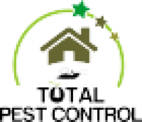 Pest Control Surrey