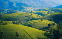 Family Vacation and Tour to Vietnam at Best Prices