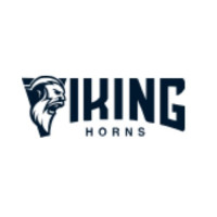 Viking Horns