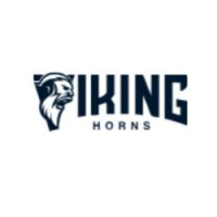 Viking Horns