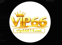 VIP66814 NET