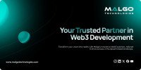 Professional Web3 Development Company for Decentralized Solutions