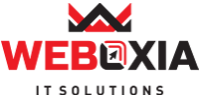 Weboxia IT Solutions - Best Digital Marketing Company in Kannur
