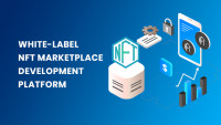 White Label NFT Marketplace Development - Best way to initiate your NFT business