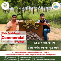 Leading Agroforestry Brand In India | Vatican Shona Agrotech