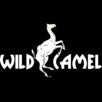 Wild Camel - Creative Branding Agency