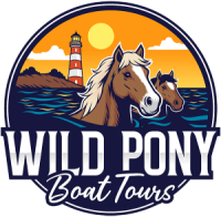 Barnacle Bill's Wild Pony Boat Tours
