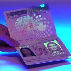 Buy real registered passport (http://www.quickydocs.com) ((+1(725) 867-9567))
