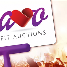 Bravobenefitauctions