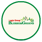 Logix Blossom Greens