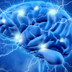 https://supplementgo.com/nutrition-hacks-memory-hack/