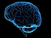 http://www.aweekchallenge.com/amazin-brain/