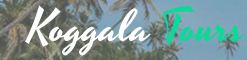 tour companies in Sri Lanka