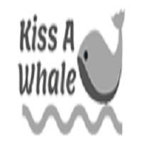 Whale Watching Tours, Whale Watch Tours, Whale Watch Tours
