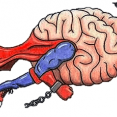 Tophealthbrand : Reduce Stress & Sharpen Your Memory