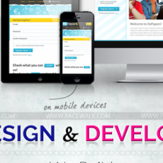 Graphic design Zirakpur  
