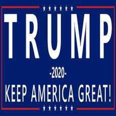 Trump 2020 T shirt