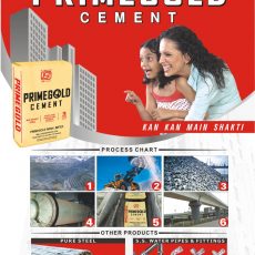 cement companies in Delhi ncr