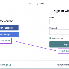 Email Password Reset