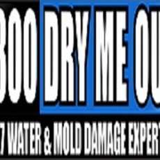 1-800-DRY-ME-OUT