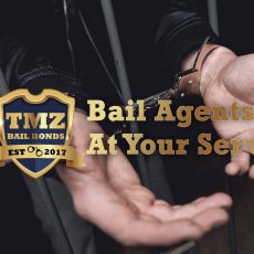 TMZ Bail Bonds