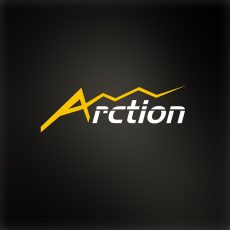 Arction Ltd -Winforms Graphs