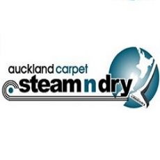 Steam n Dry