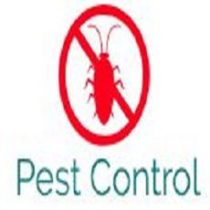 Pest Control