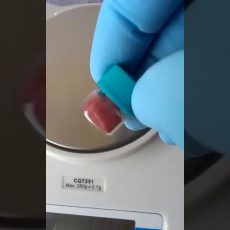 Red Mercury For Sale In Abu Dhabi, Qatar, Kuwait+27817592768