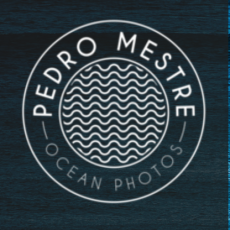 Pedro Mestre