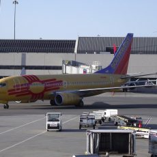 Southwest Flights