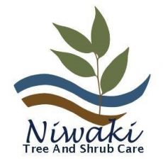 Niwaki Tree Service