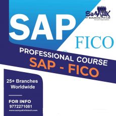 SAP-FICO course in Jaipur