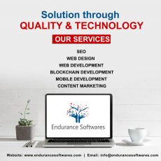 Best Web Design and Development Company in India | Endurance Softwares
