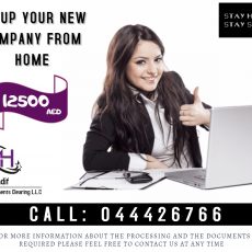 Establish your Company!