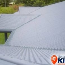 Gutter Guard King