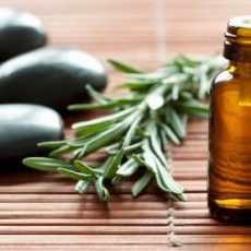 ASTROLOGER, PSYCHIC READER, SPELL CASTER, HERBALIST HEALER AND SPIRITUAL HEALER CALL +27765274256