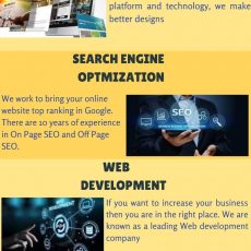 seo service in mohali phase 10
