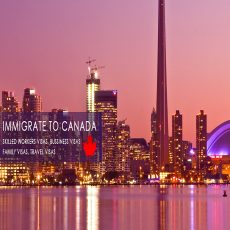 Best Immigration Consultants in Bangalore