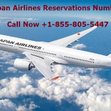 Get Japan Airlines Ticket